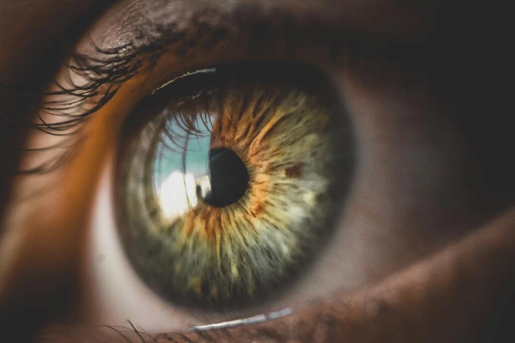 Occhio secco? I probiotici potrebbero essere la soluzione